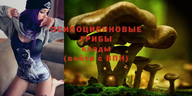 Псилоцибиновые грибы Cubensis  Белорецк 